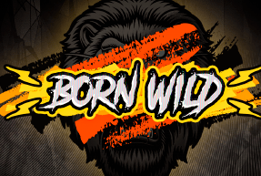 bornwild96