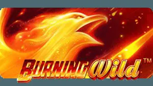 burningwild