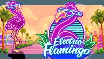 electricflamingo