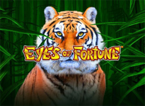 eyesoffortune