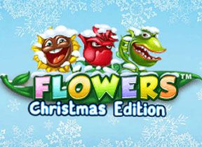 flowerschristmas