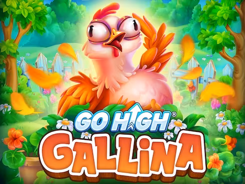 gohighgallina
