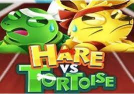 harevstortoise