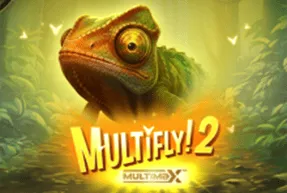 multifly2multimax