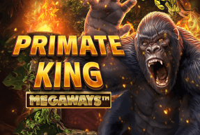 primatekingmegaways