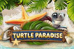 turtleparadise