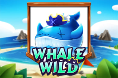 whalewild
