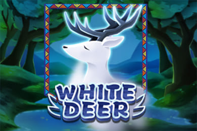 whitedeer