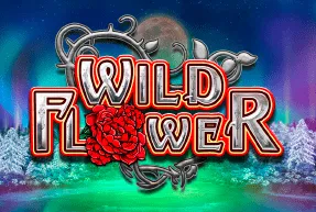 wildflower